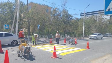 В Узбекистане узаконили приподнятые пешеходные переходы и 3D разметку