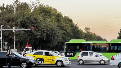 Проезд в общественном транспорте подорожает